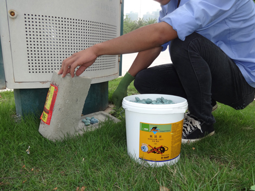 白蟻防治方法有哪些？